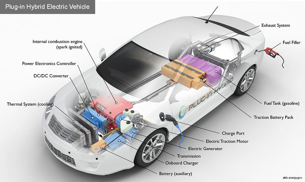 Your Ultimate Guide to Electric Vehicles | Westborough, MA