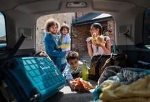 Which family cars have the best storage? - carsales.com.au